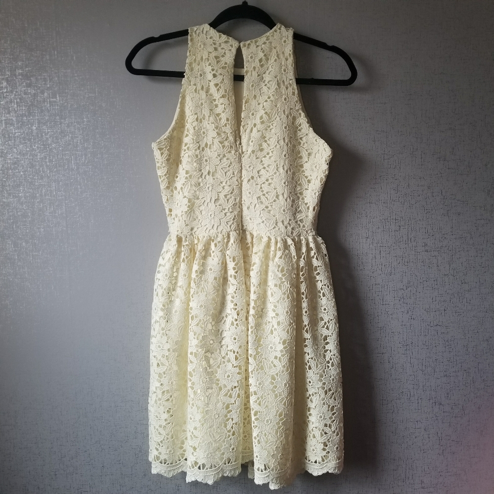 ZARA Guipure Lace Fit & Flare Spring Dress Medium - Picture 7 of 8